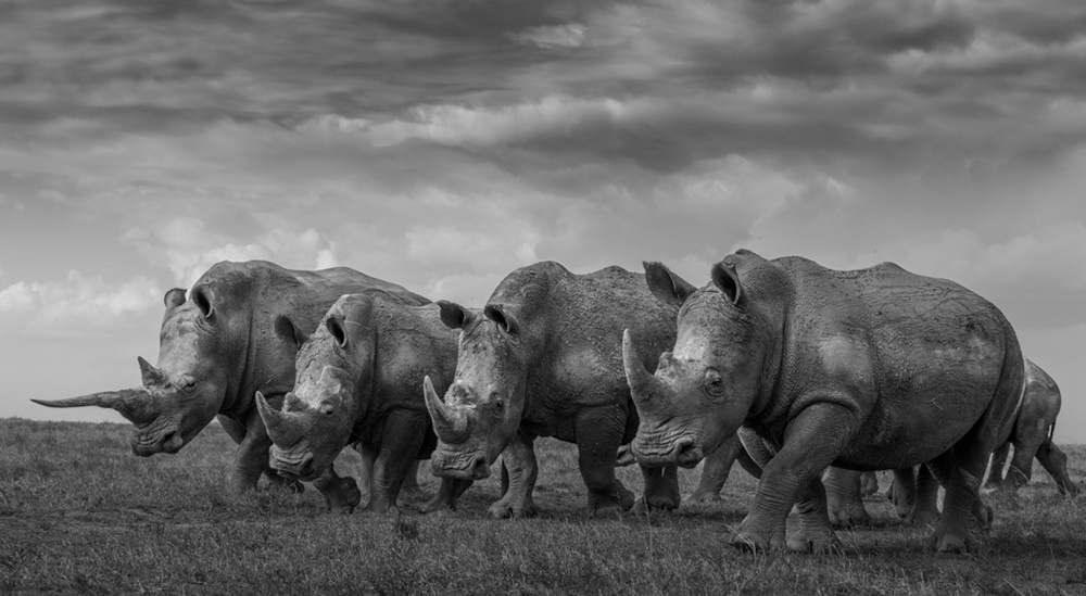    Alessandro Marena, monovisionsawards.com