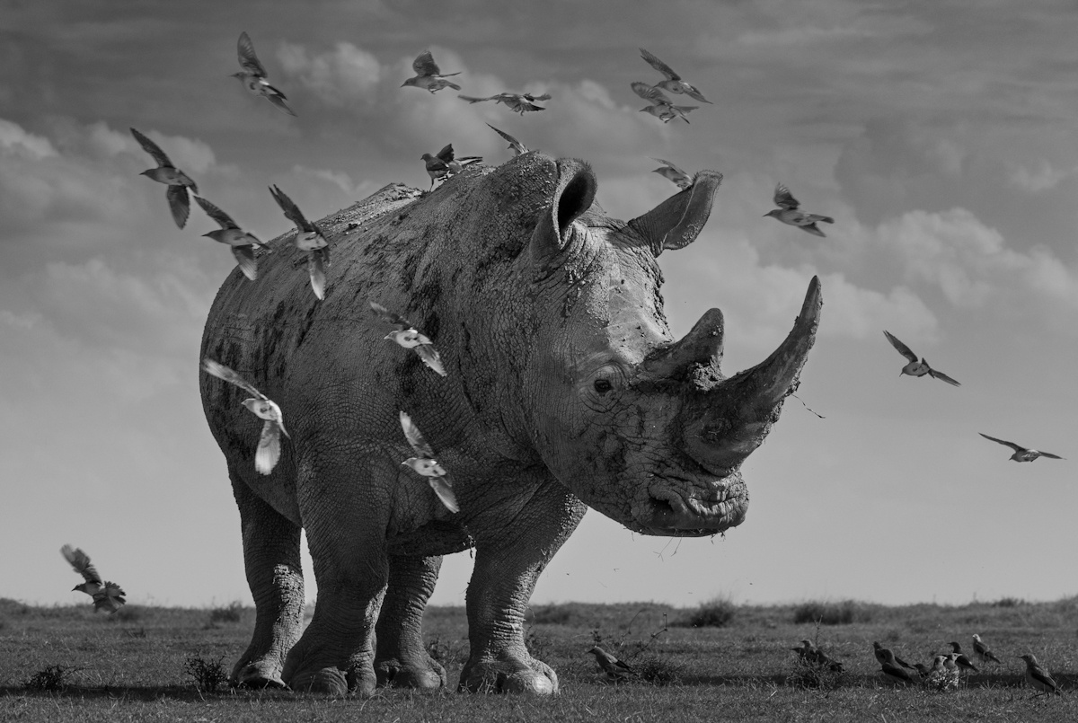    Alessandro Marena, monovisionsawards.com