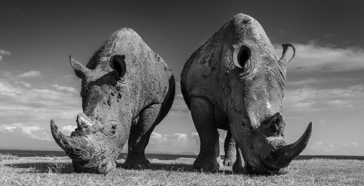    Alessandro Marena, monovisionsawards.com