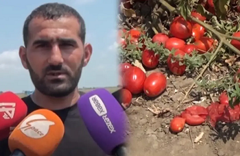 Из цитируемого источника