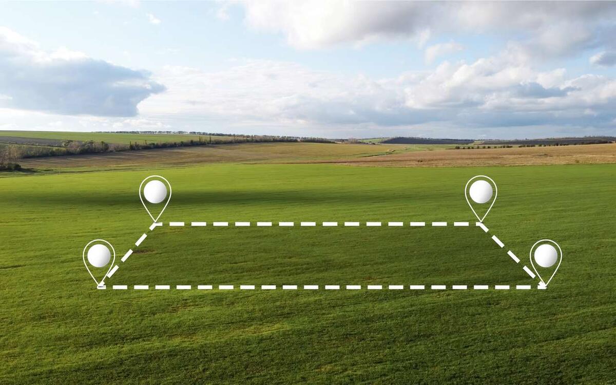    Бывший воронежский префект отсудил участок в районе, где его дочь осуждена за хищение земли Фото – ru.freepik.com