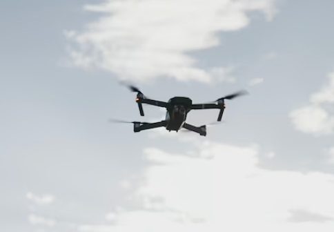    Фото: ru.freepik.com/freepik Екатерина Шахнина