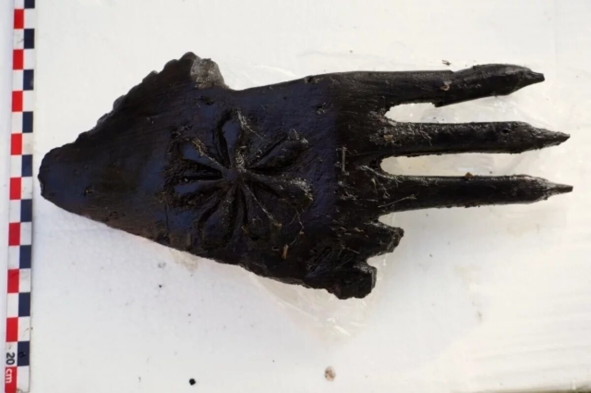    Археологи Эрмитажа нашли уникальную деревянную кисть руки эпохи неолита