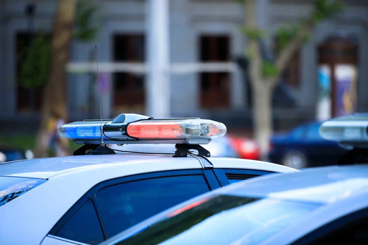    Фото: Freepik.com