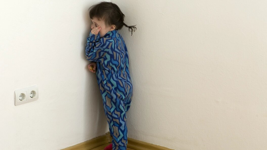    Фото: Nikolay Gyngazov/Globallookpress