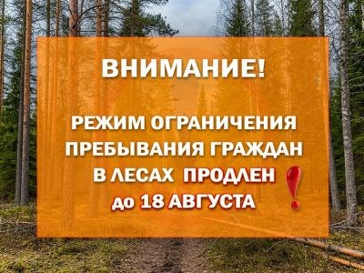    Фото: Госкомитет региона по обеспечению жизнедеятельности и безопасности населения / Telegram