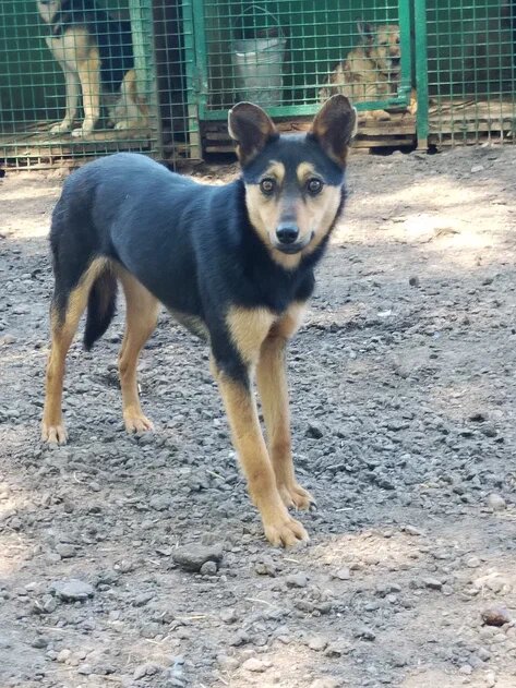 Лу как дюймовочка