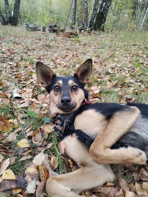 Познакомимся?)