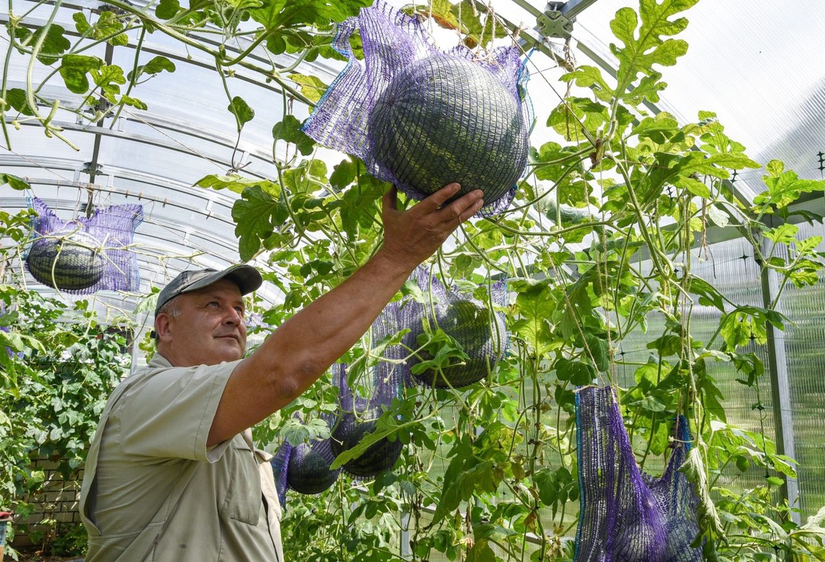     Фото: Виталий ГАРКУША