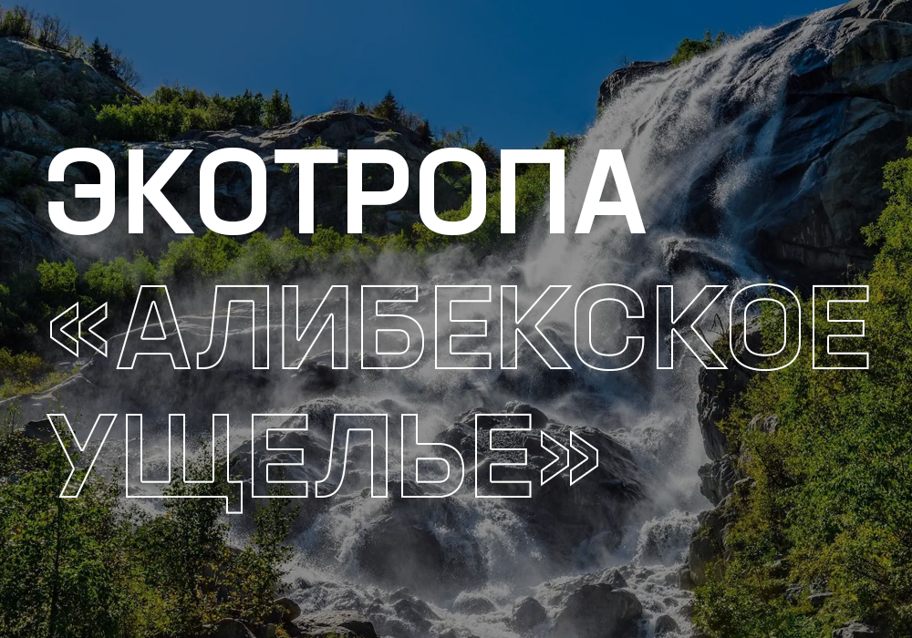 Фото: Elza_R/Shutterstock/FOTODOM