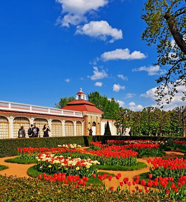 В Монплезирском саду у южного фасада дворца /фото из личного архива, 2023/