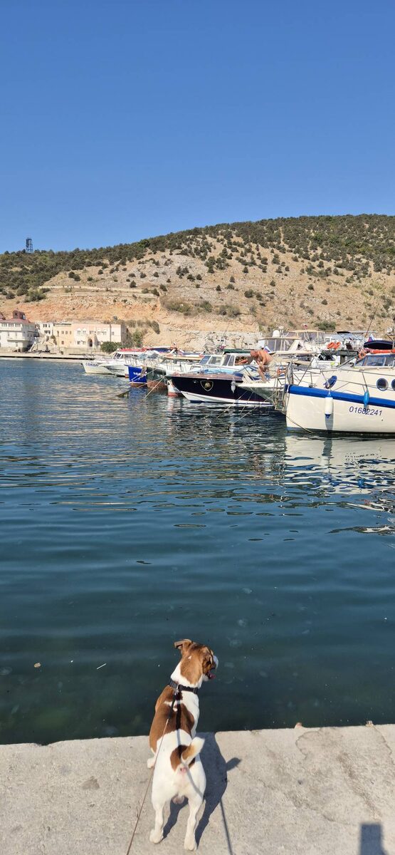 Набережная Балаклавы!