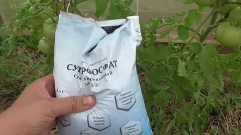Эффективное удобрение: как приготовить вытяжку из суперфосфата для быстрого результата