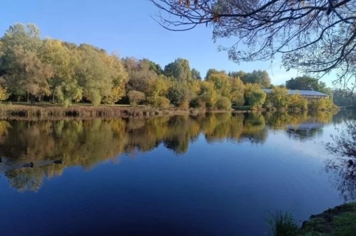    Заброшенный паром мешает судоходству на реке Таз