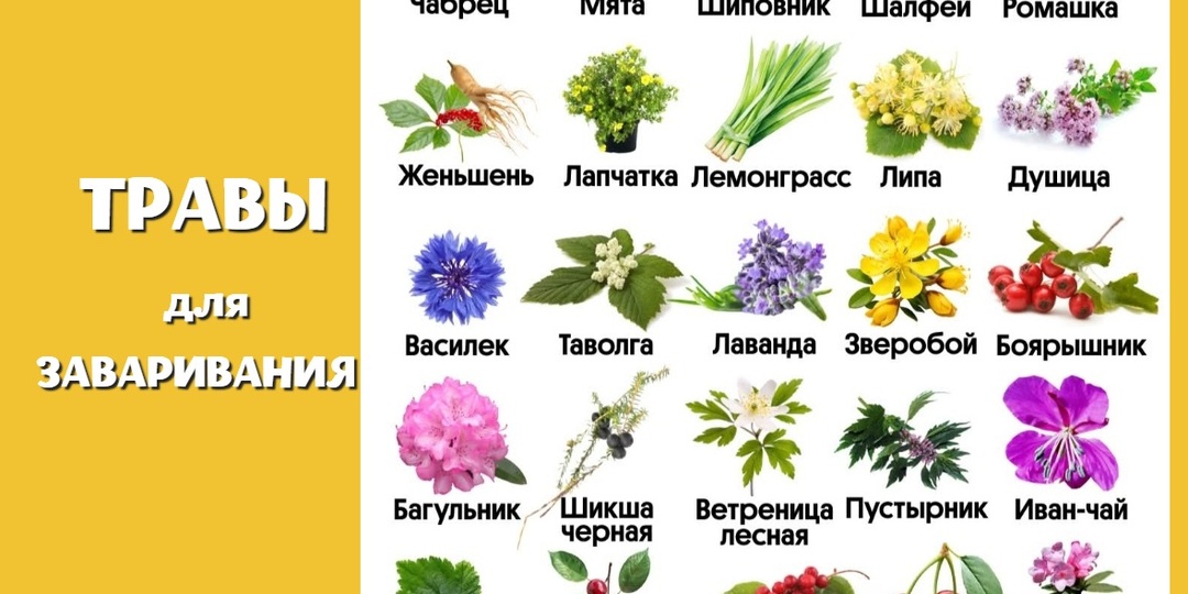 Травяной релакс и магия рукоделия! Как создать уютный уголок здоровья и творчества в своем доме