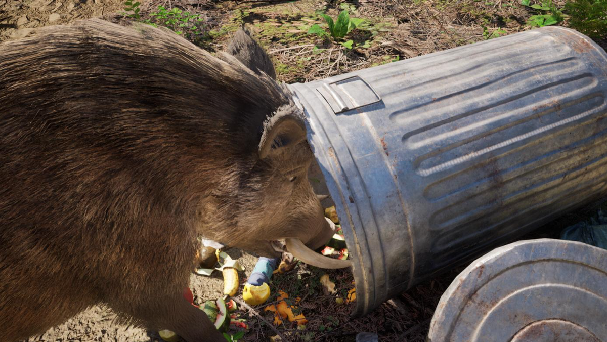 Мнение: «Убей 10 кабанов» — это творческая лень, а не квест