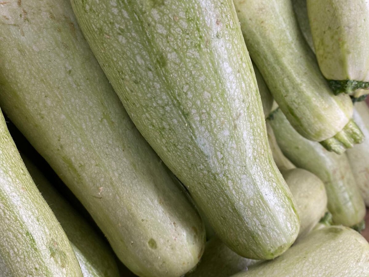 Самые обыкновенные кабачки