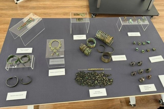    Фото: АиФ в Туле/ Анна Гришанина