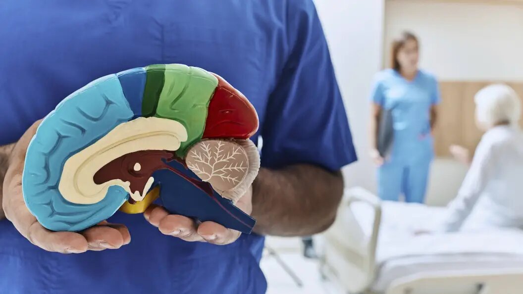    Фото: IMAGO/Science Photo Library/Globallookpress