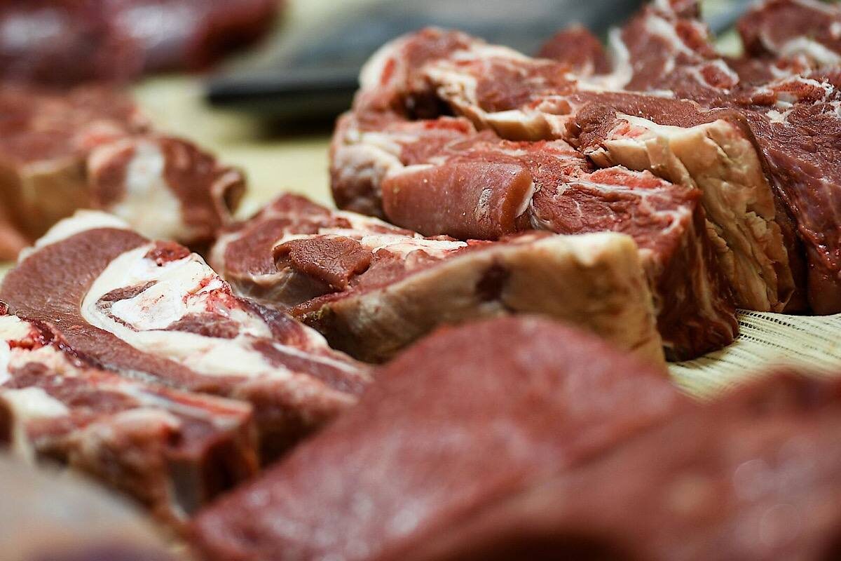    Фото: Владимир Астапкович, Источник: РИА Новости