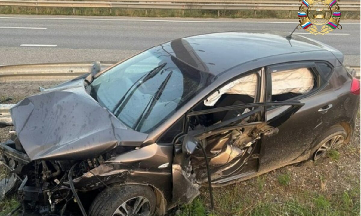    Фото t.me/gibdd123region/23470