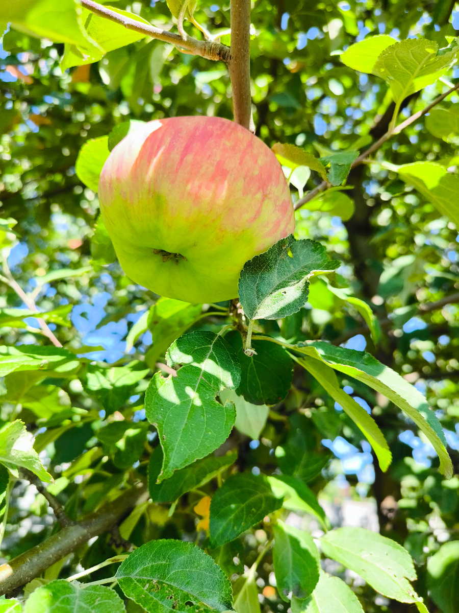 Фото из личного архива