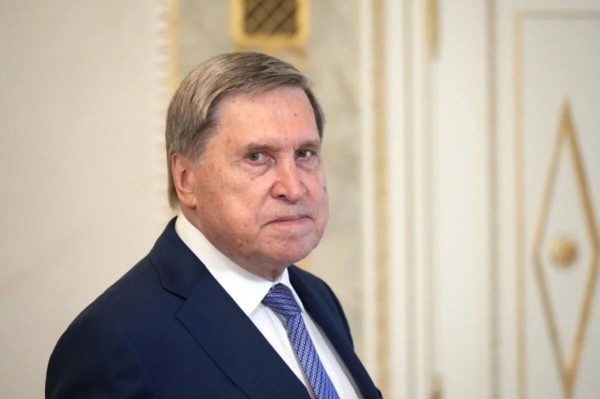    Ушаков назвал разговор Путина и Уиткоффа полезным и конструктивным