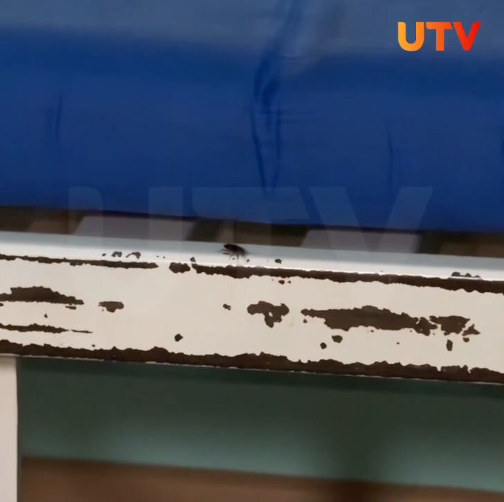    Источник: UTV, телеграм-канал