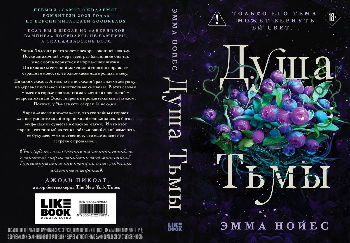 Обложка книги "Душа тьмы" Эммы Нойес (18+). 