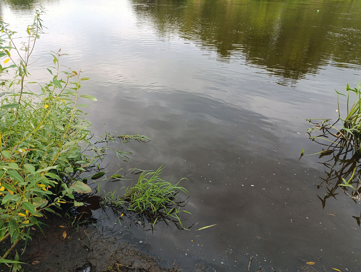 Вот что там под водой?