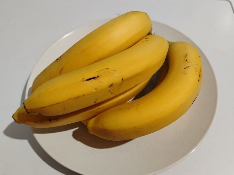     Специалист признала, что перекусы могут быть полезной частью рациона. Фото: Архив МК в Великом Новгороде