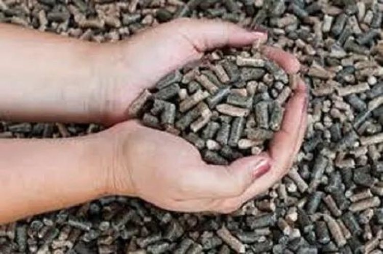    Башкортостан поставил пробную партию подсолнечного шрота в Республике Туркменистан