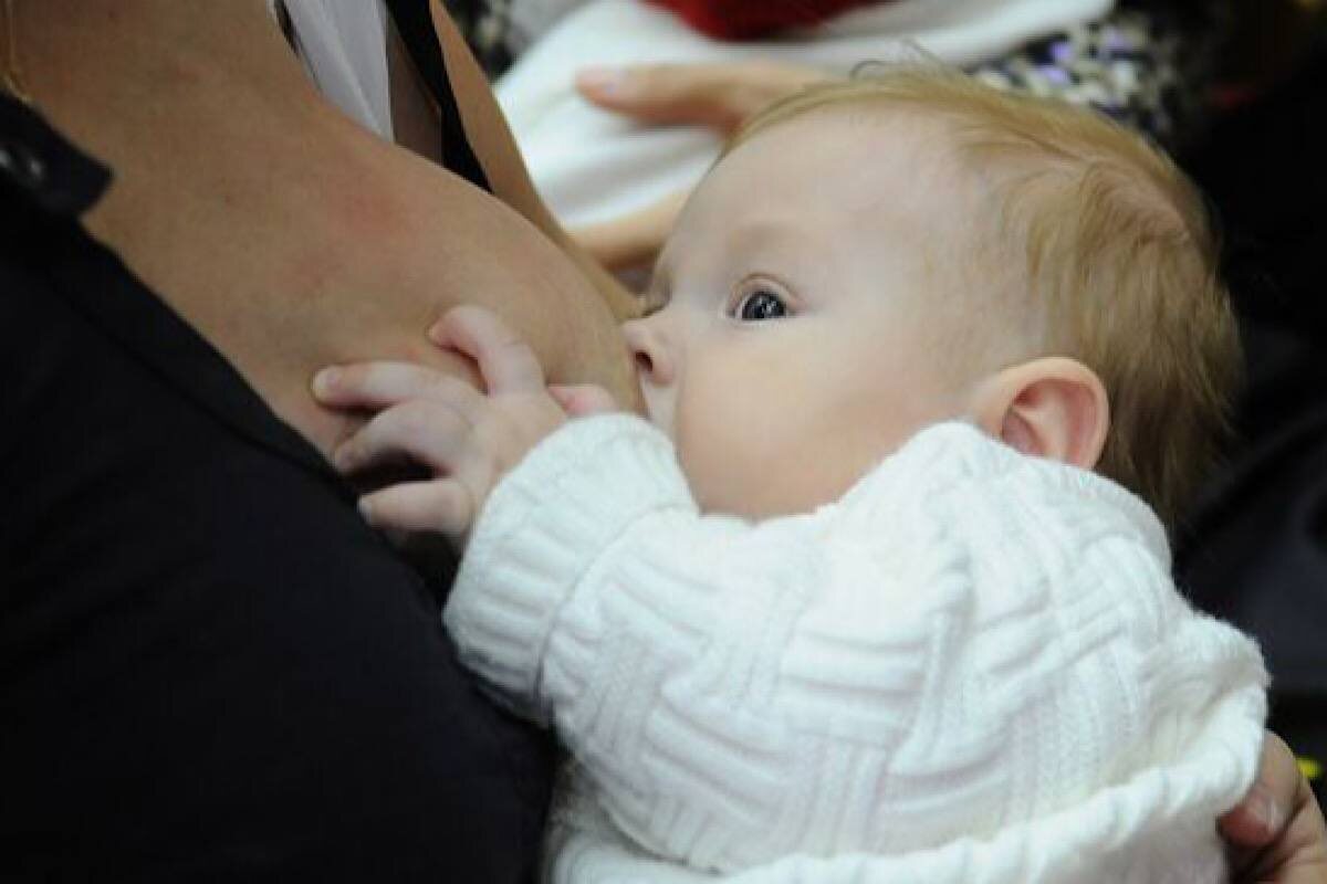    Фото: Александр Паниотов, Источник: РИА Новости