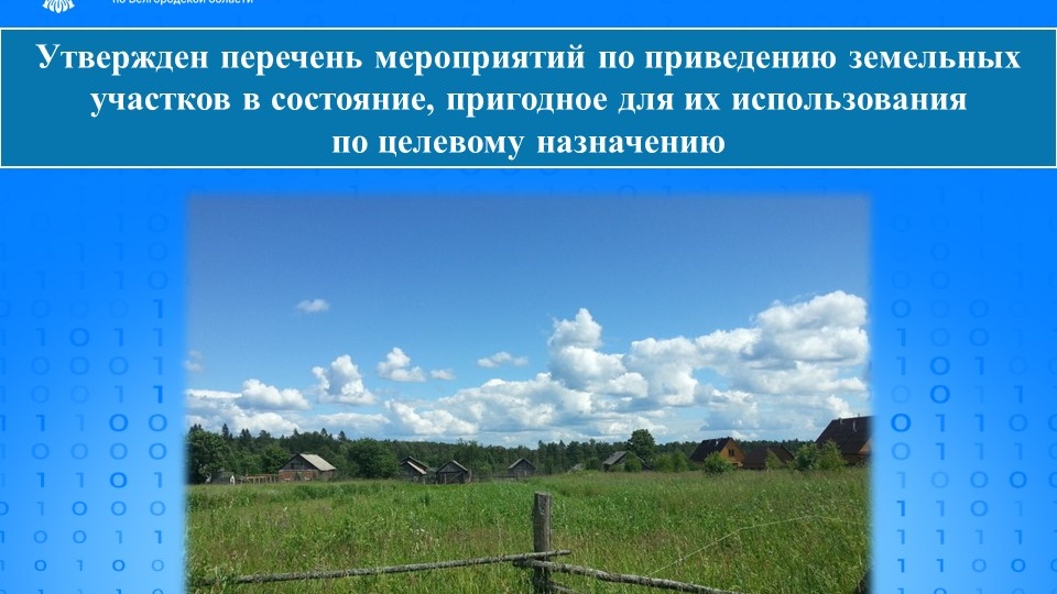 Утвержден перечень мероприятий по приведению земельных участков в состояние, пригодное для их использования по целевому назначению