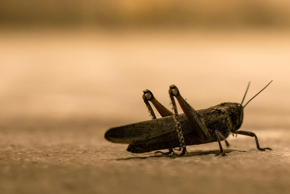     Nicolas Lindsay/Unsplash