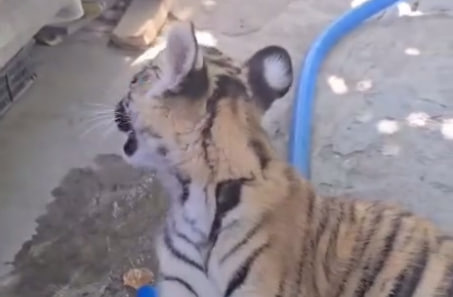     Минприроды РД/Telegram