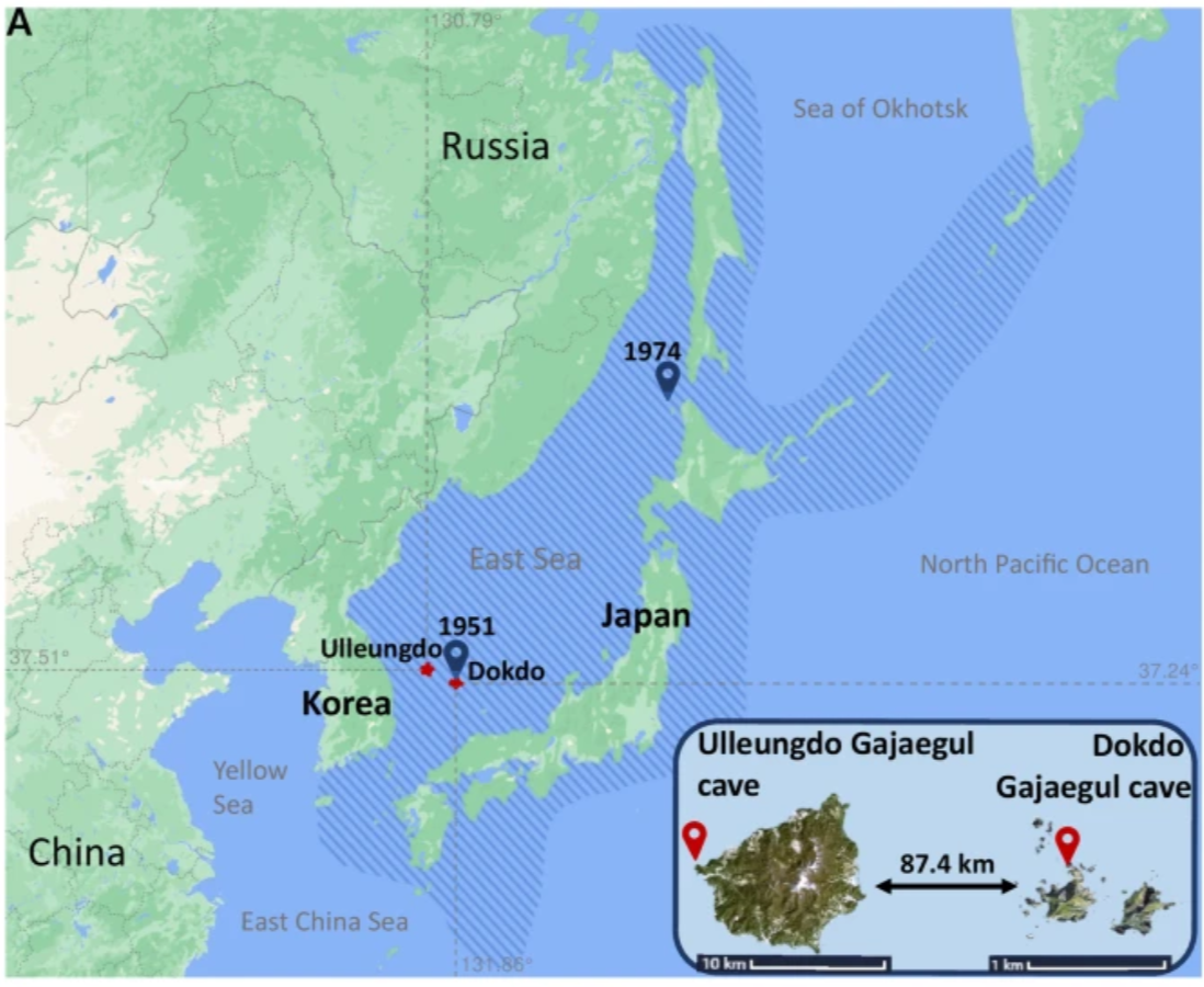   Jungeun Kim et al. / BMC Biology, 2025