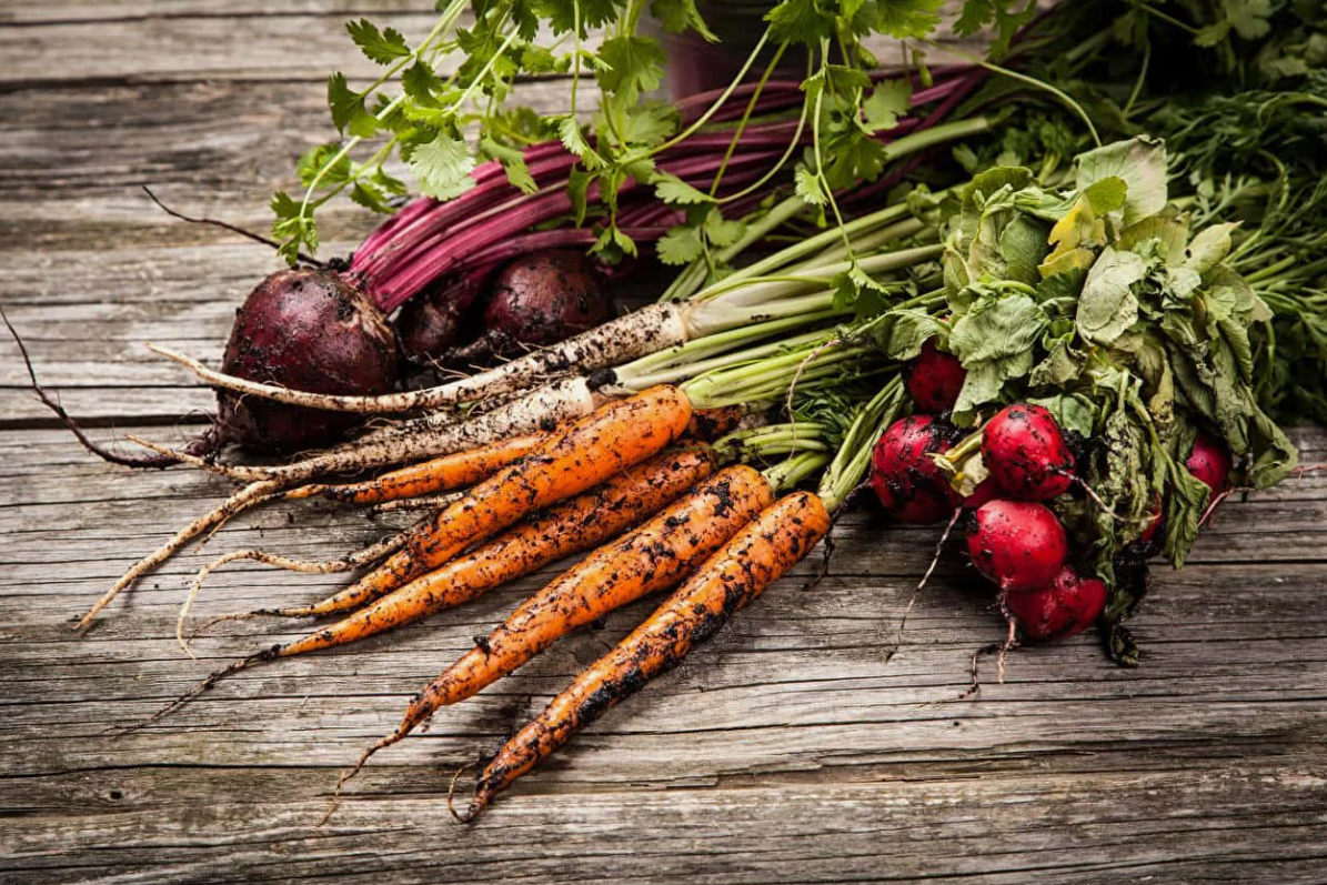 Некоторые виды ботвы (например, от моркови, свёклы, капусты) можно скармливать домашним животным, таким как кролики, куры или козы. Однако важно убедиться, что ботва не содержит ядовитых веществ и не была обработана химикатами.