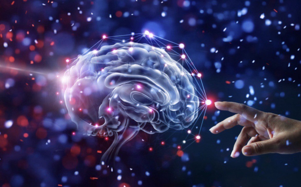 нейробиология