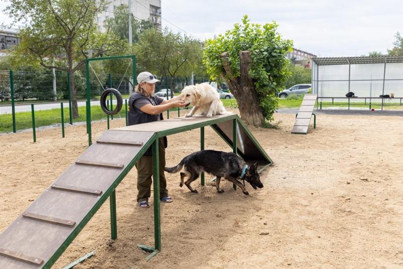    Алексей Вихарев