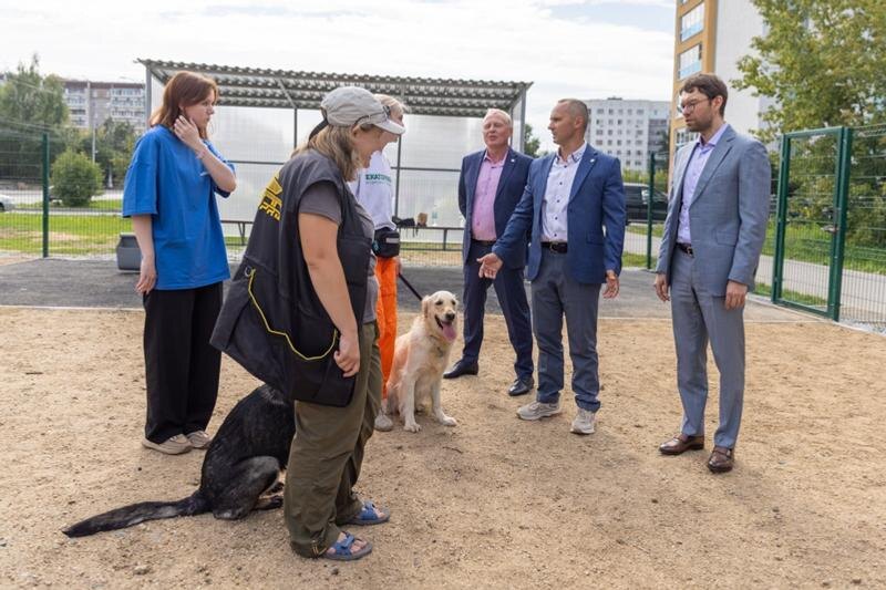    Алексей Вихарев