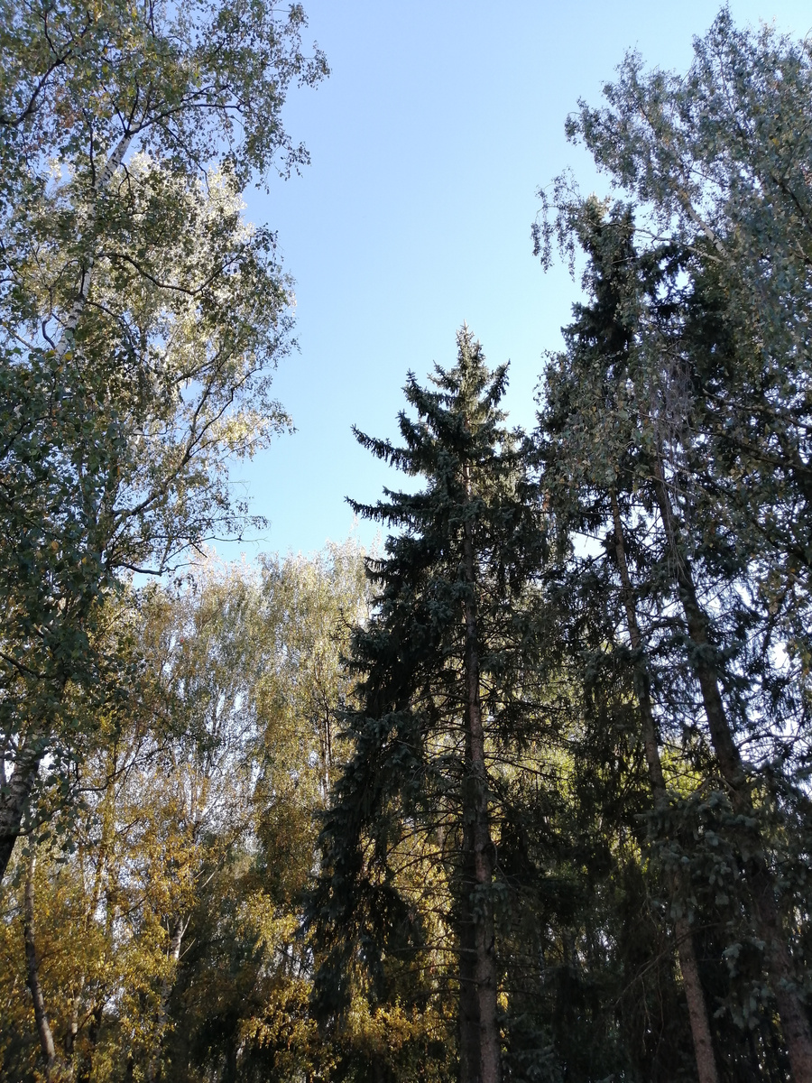 Парк Дружбы