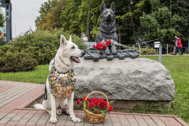    Фото: пресс-служба Музея Победы