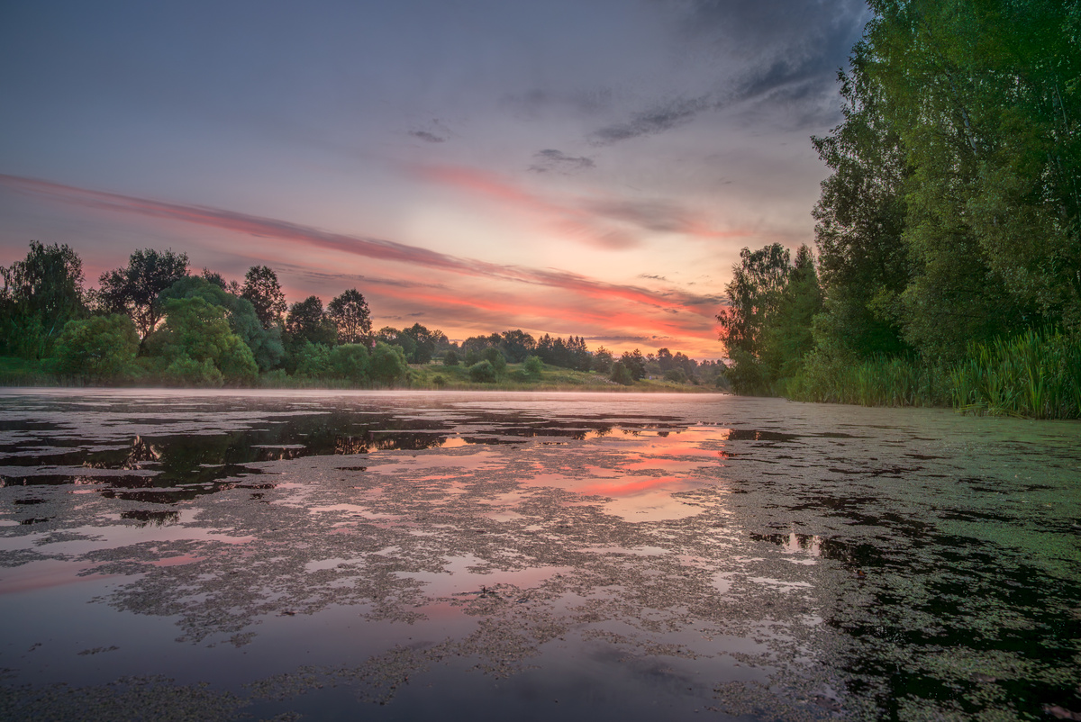 Розовый рассвет