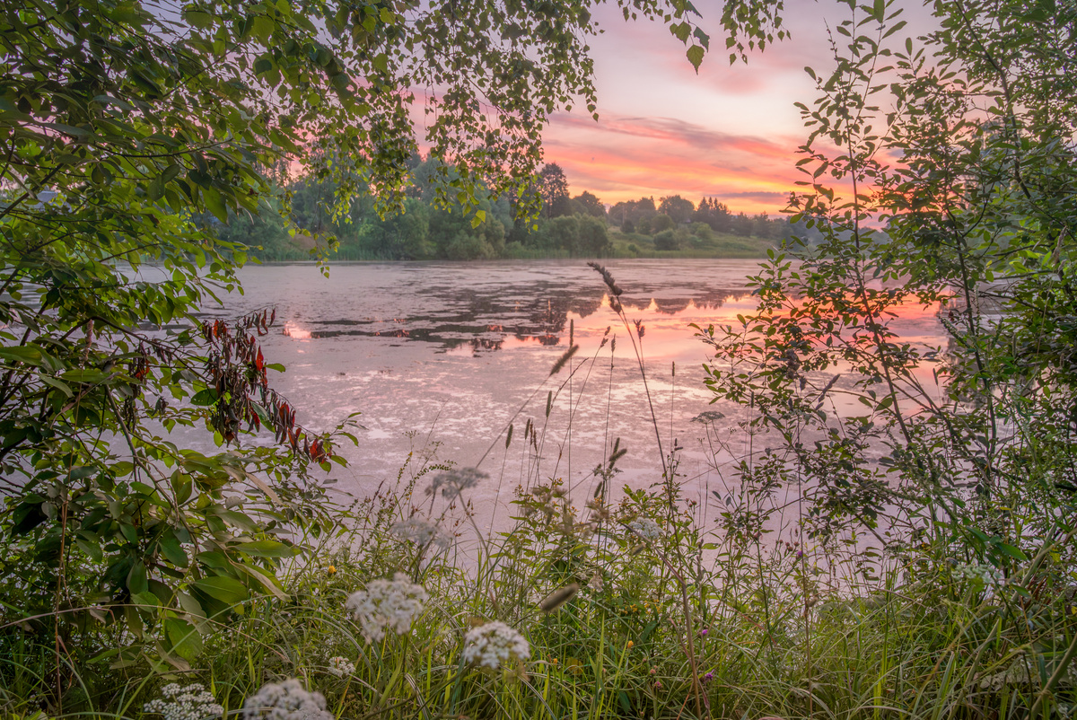 Мир в розовых тонах