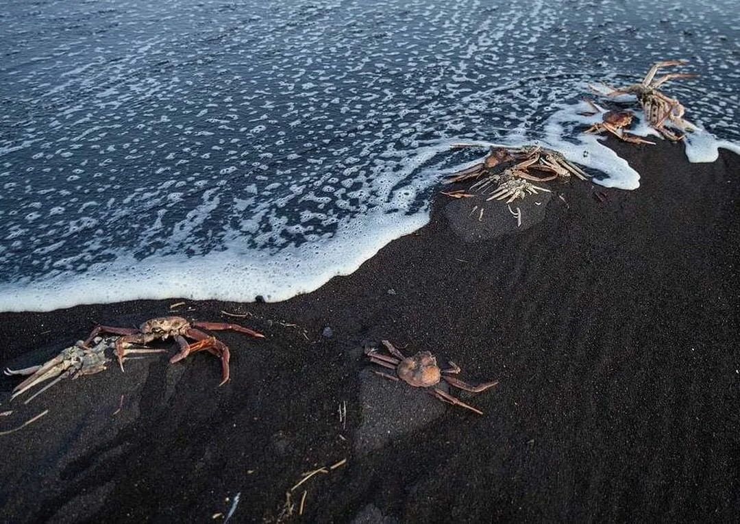 Источник: tass.com