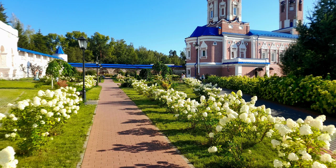 Лучшие санатории Рязанской области: цены и программы лечения
