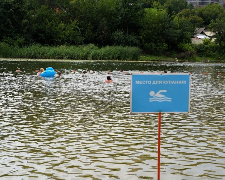     В Курске на пляже «Здоровье» спасли тонущего ребенка