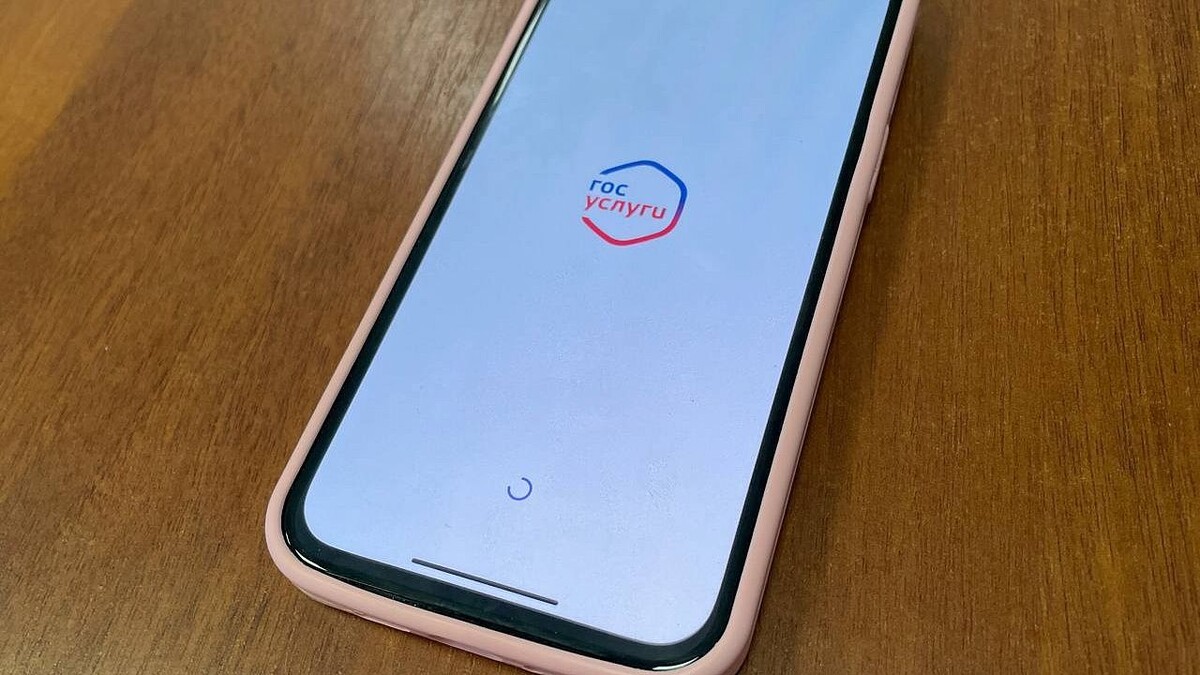    Фото: телеканал «Краснодар»