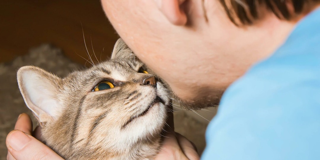 Что заставляет кошку нюхать лицо и даже дыхание человека
